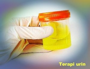 Terapi urin pengobatan secara alami