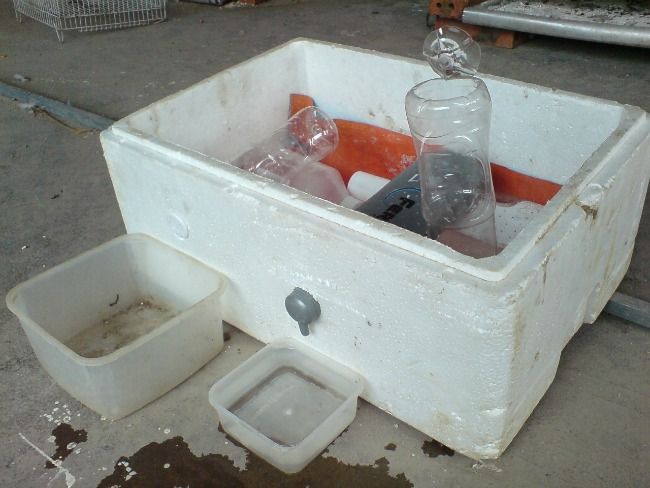 Kỹ thuật trồng rau theo kiểu Earthbox