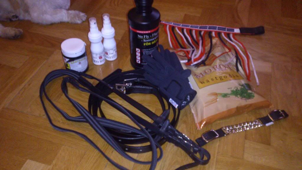 DSC_07841_zpsba45c77e.jpg