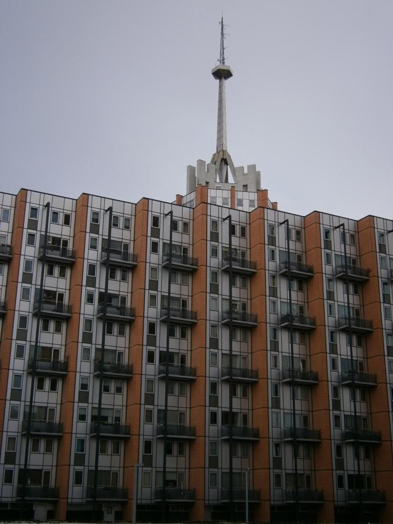 P3140016_zpsa2585978.jpg