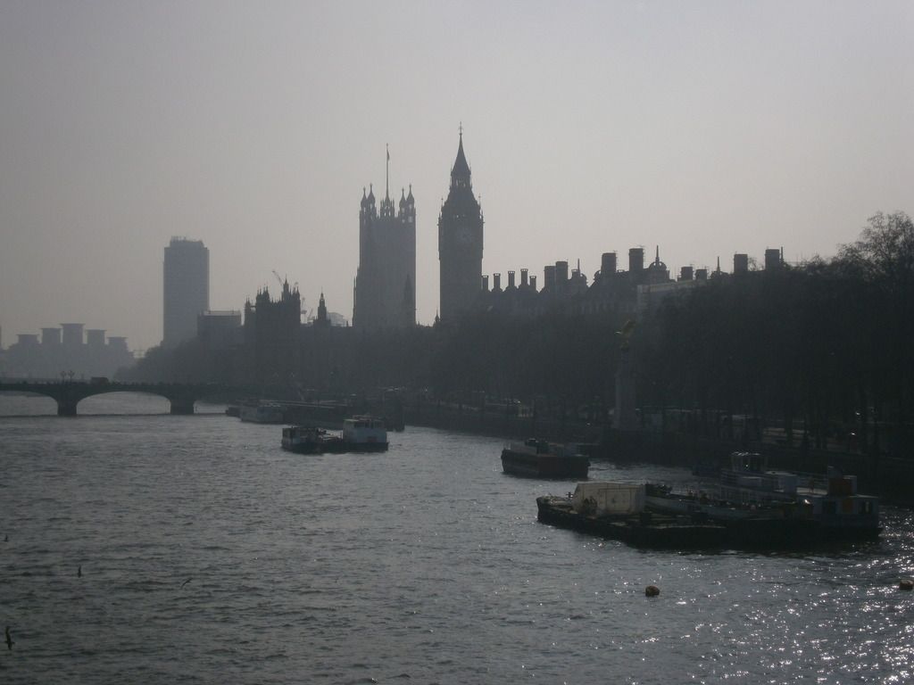 P3180006_zps0mihfsp3.jpg