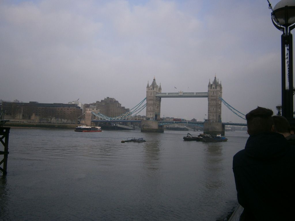 P3180022_zpss3jnwmxe.jpg