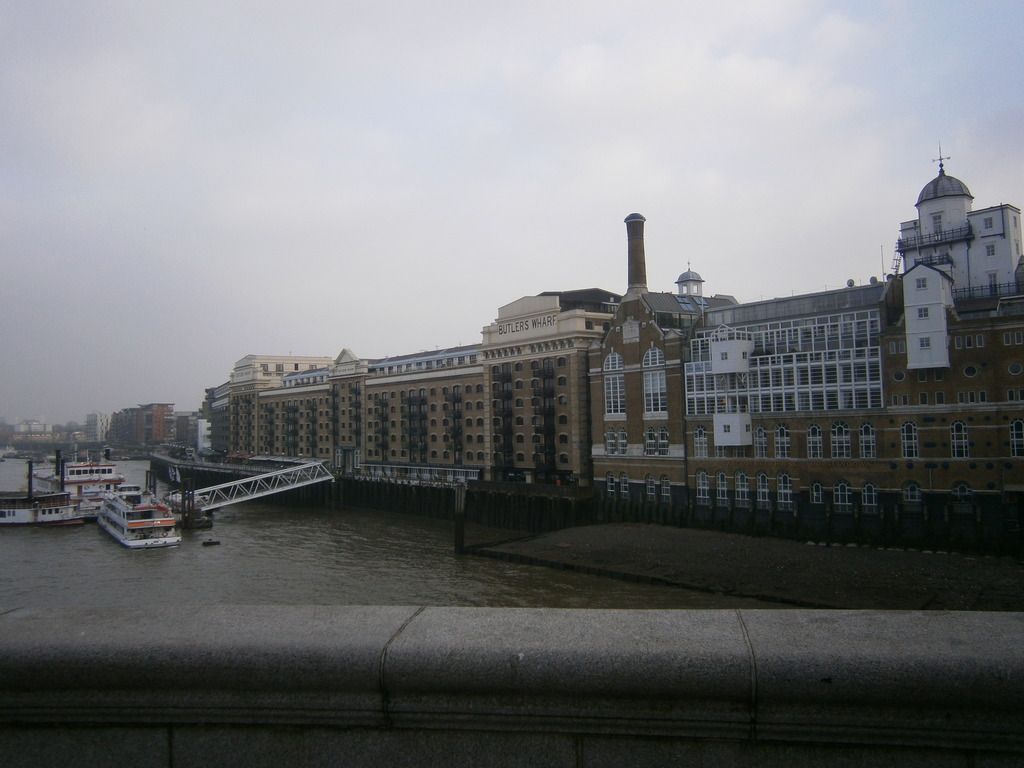 P3180027_zpscbdyydt5.jpg