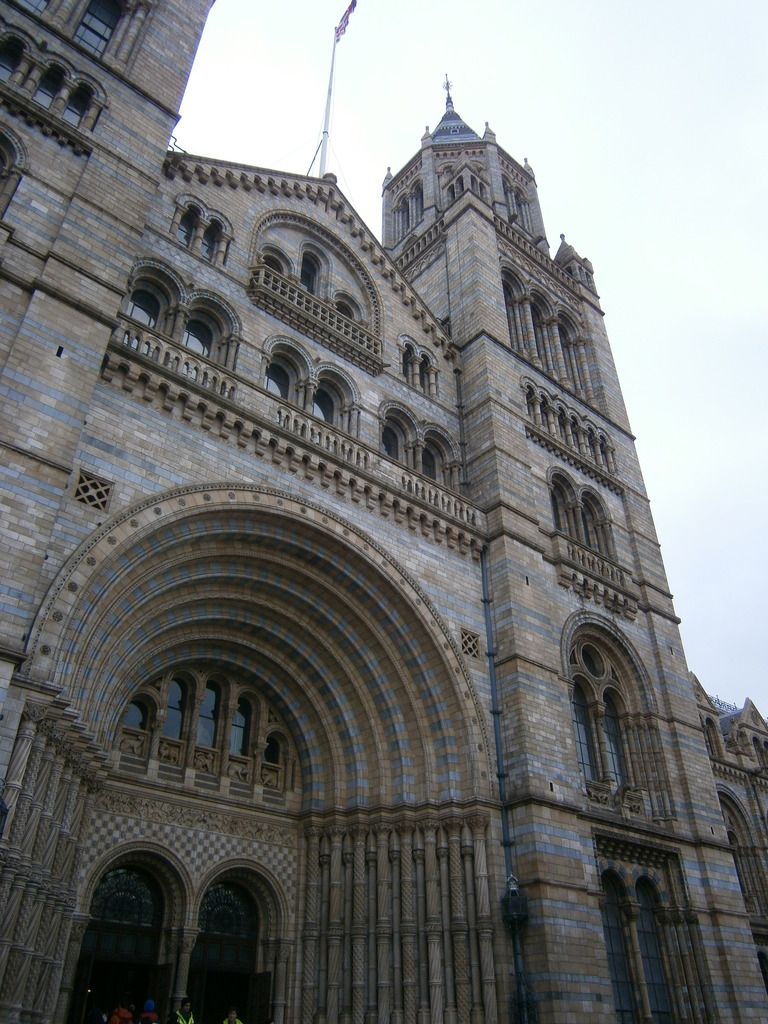 P3190041_zpsjzpch2pl.jpg