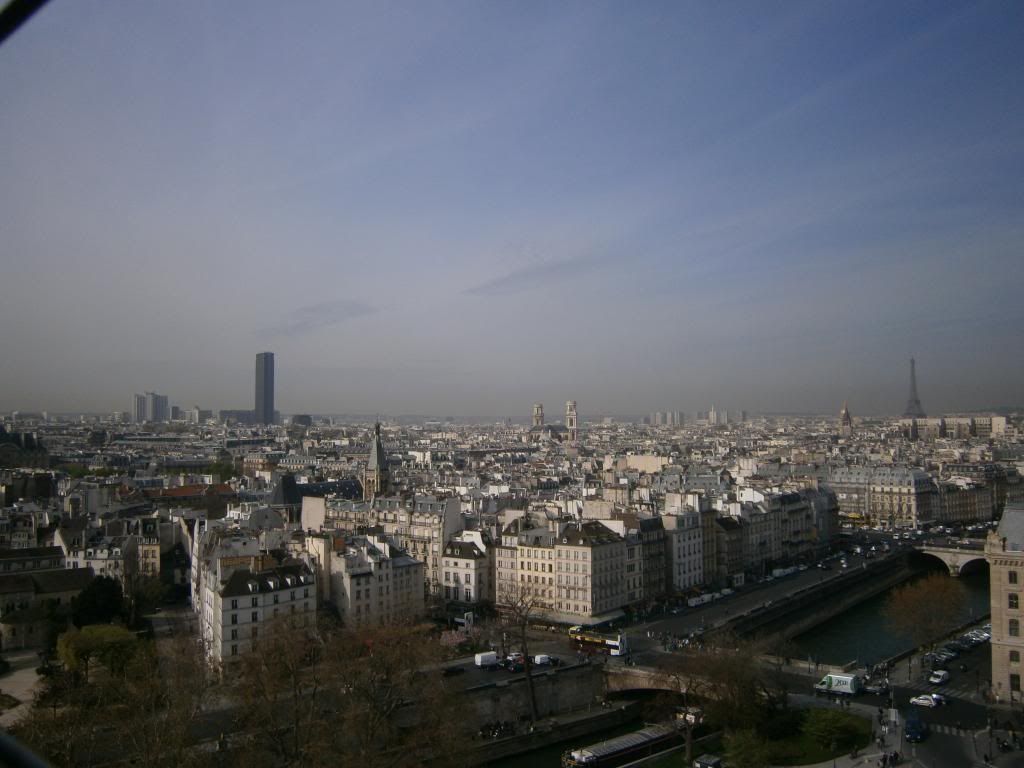 P4010008_zps834bf16f.jpg