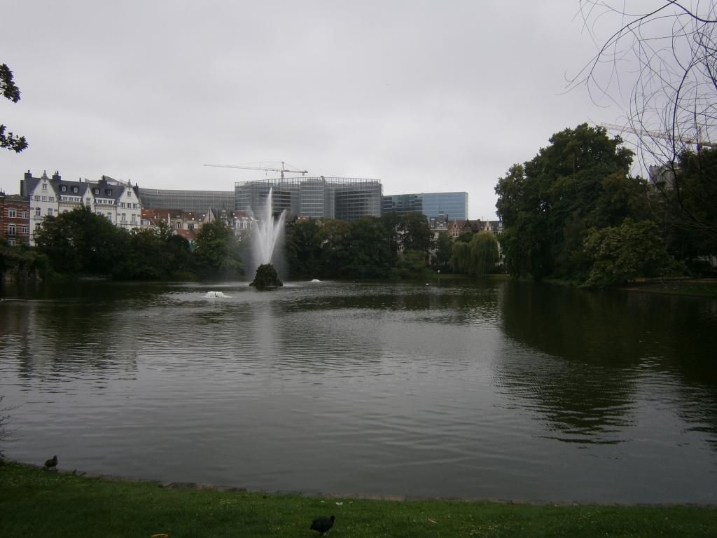 P7120056_zpsdfe55971.jpg