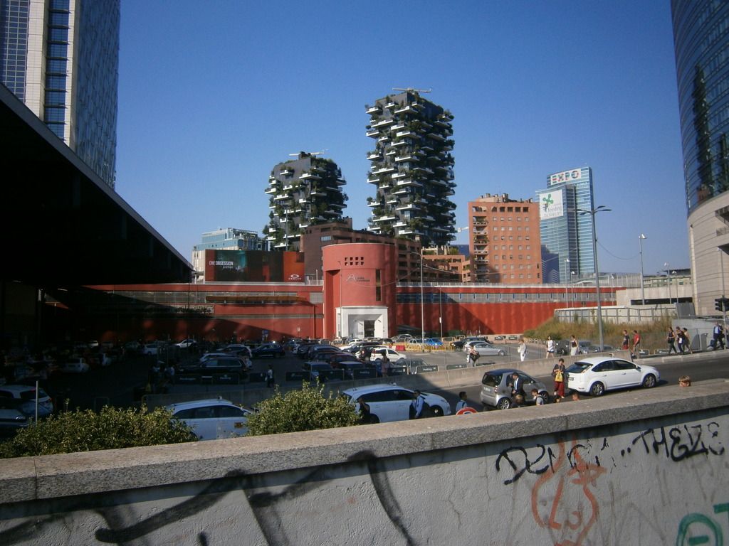 P7140006_zps5yalsmsp.jpg