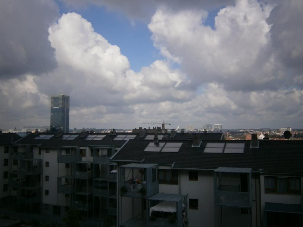 P8140009_zps5c974ffd.jpg