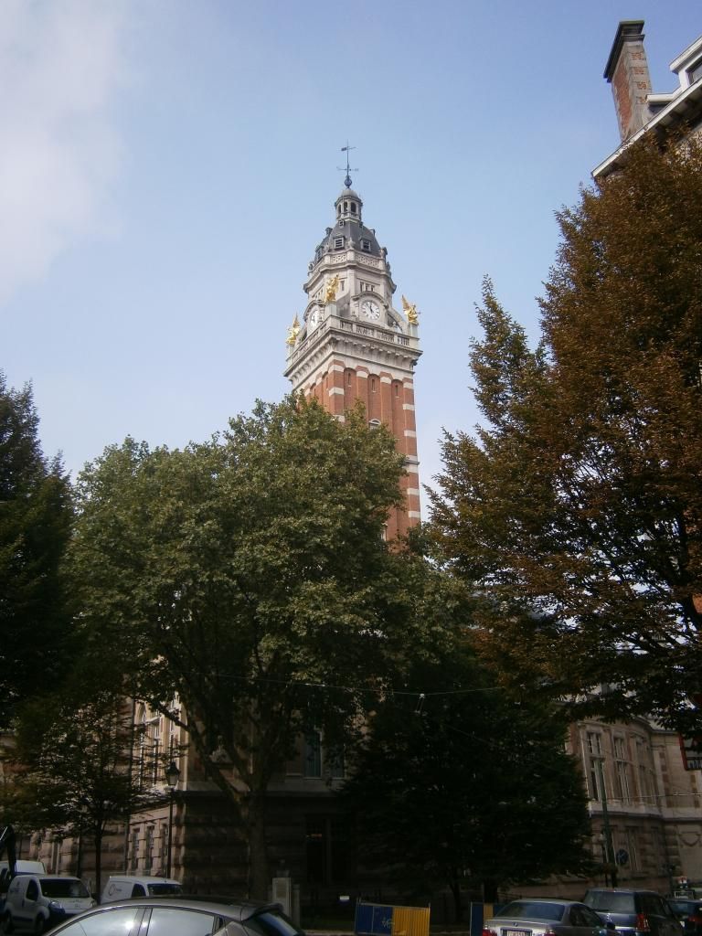 P9080004_zpsa2fbfa90.jpg
