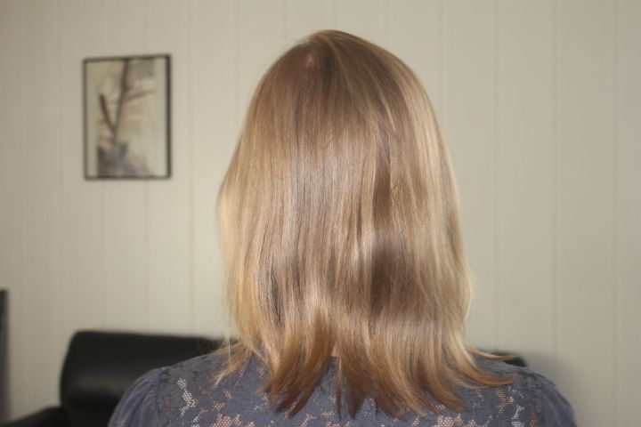 Bild