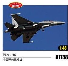 J-16_zpsd13d066a.jpg