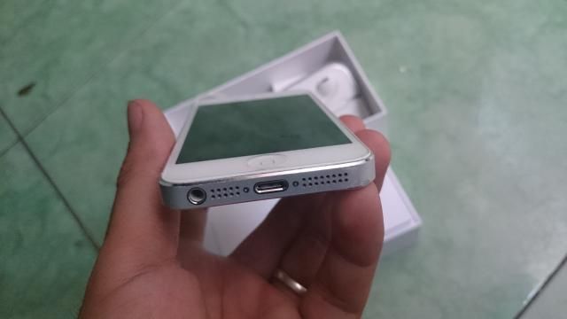 Bán iPhone 5S Gold và 5 trắng 16Gb quốc tế Fullbox - 4