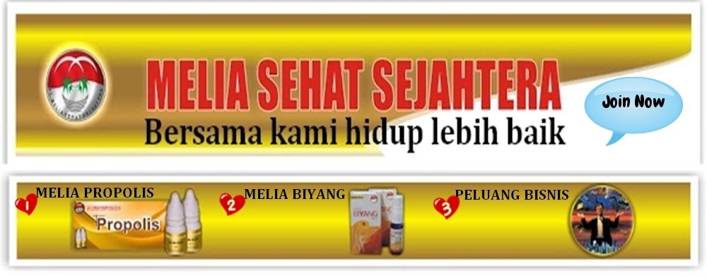 Gambar Wallpaper Foto Unik Kucing Lucu Yang Menggemaskan Info Gambar Car Interior Design