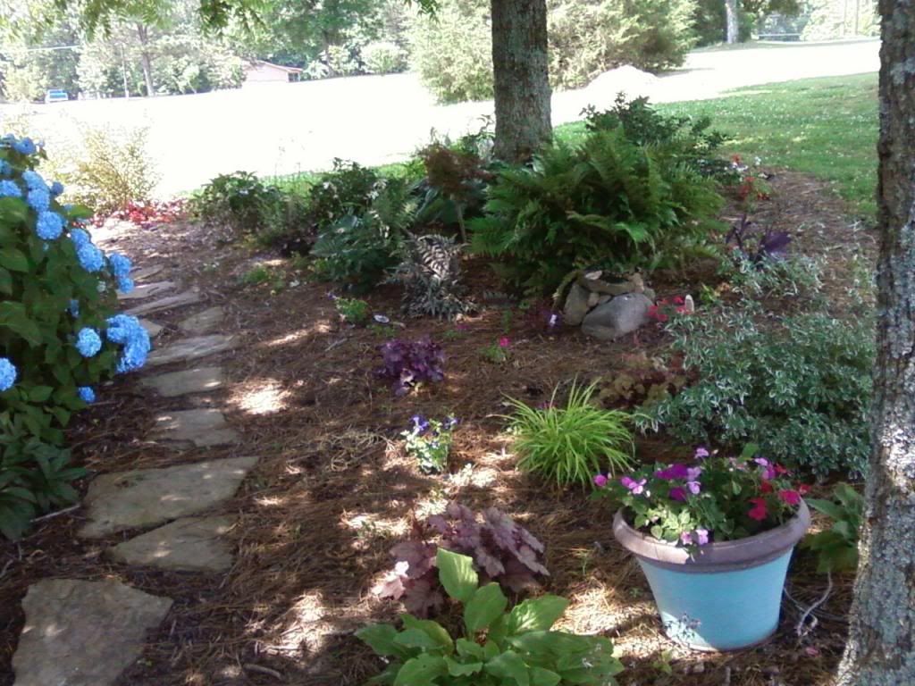  photo bayside061613c_zps3a0c0562.jpg