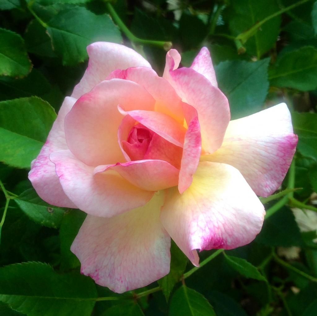  photo grussie0622_zpsa72c16af.jpg