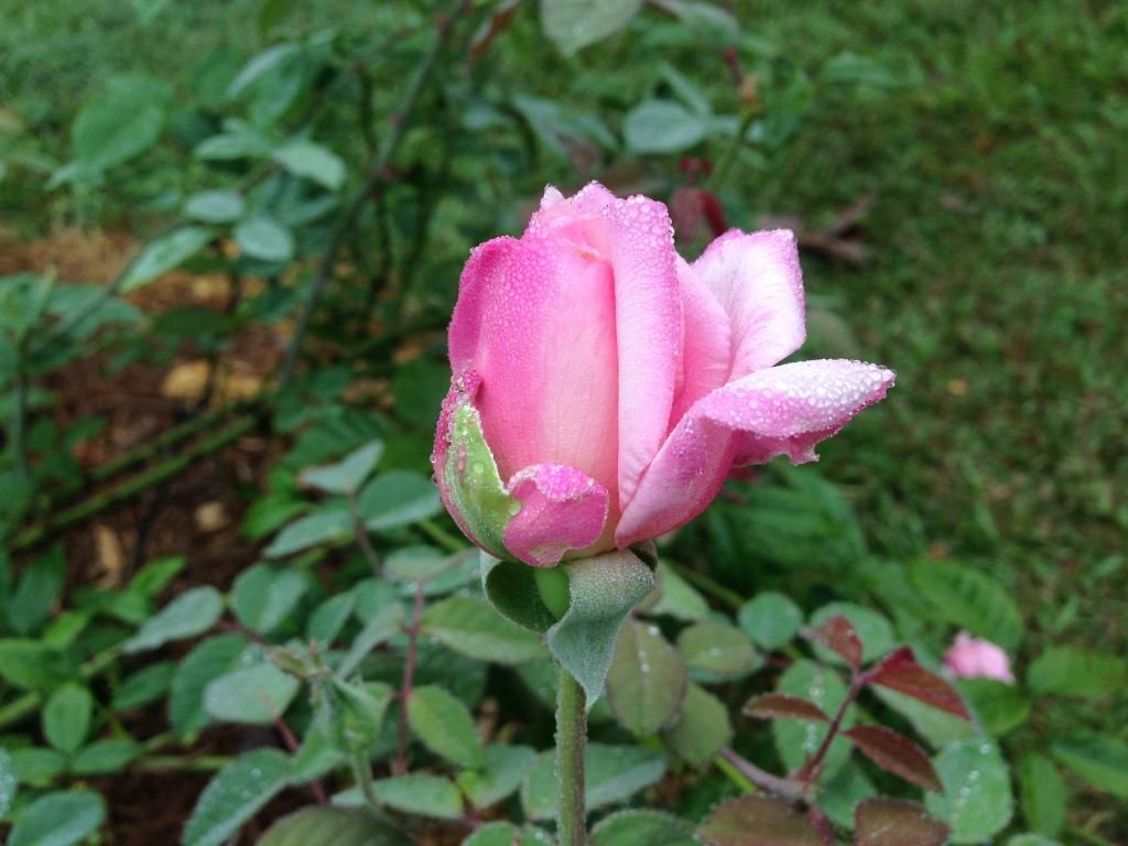  photo mvhid0914q_zps7434b182.jpg