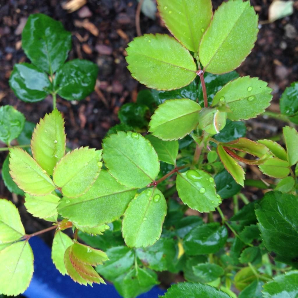  photo mystery092014c_zps4f673233.jpg