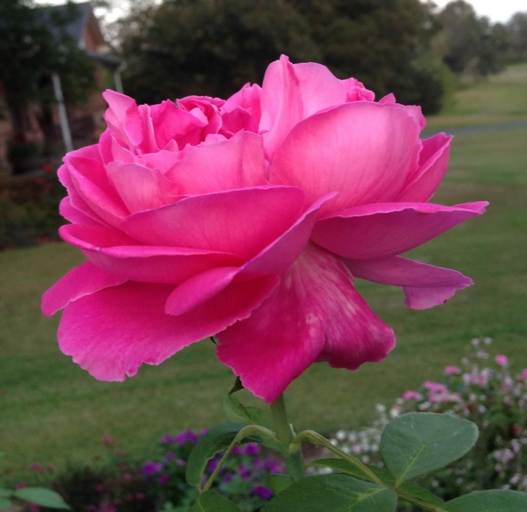  photo pn0906b_zps5ba88373.jpg