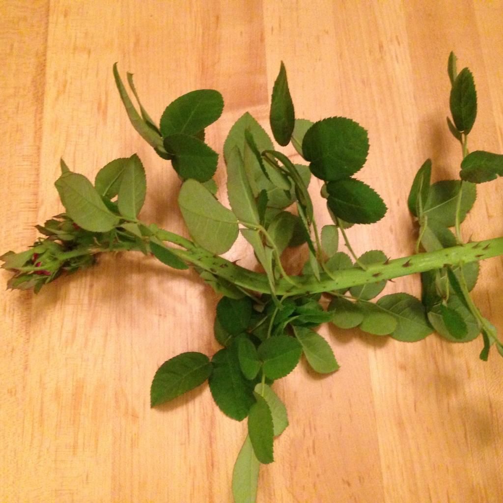  photo rdrrrd1002k_zpsbab1df3e.jpg