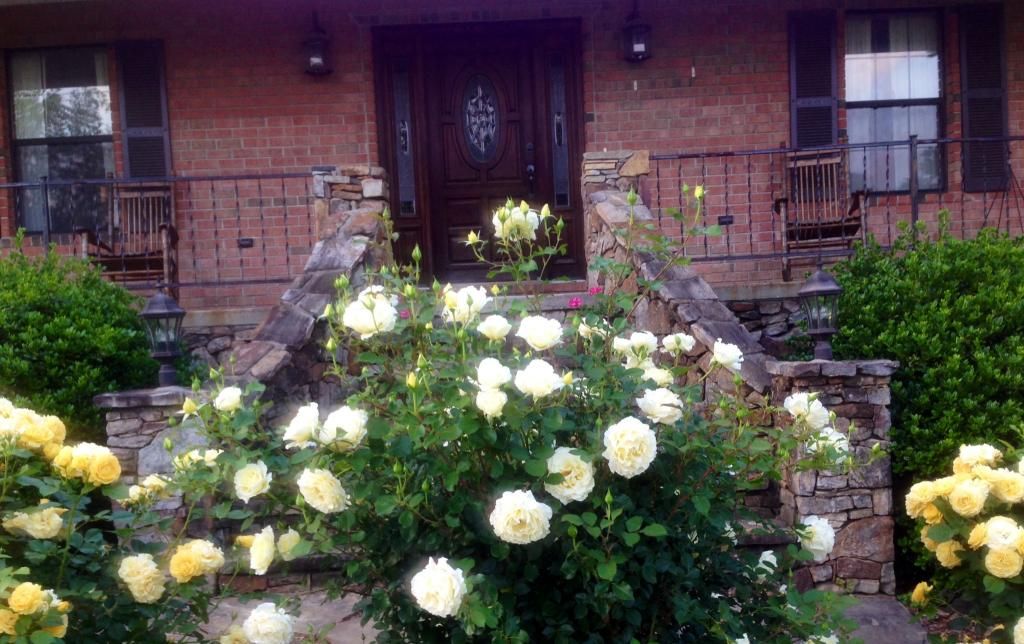 photo wl0513c_zps69dea928.jpg