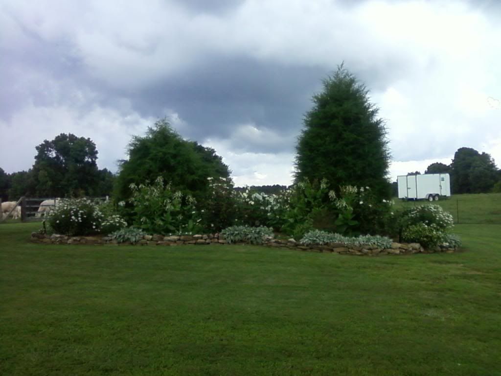 photo zzwhitegarden0720_zps008062bd.jpg