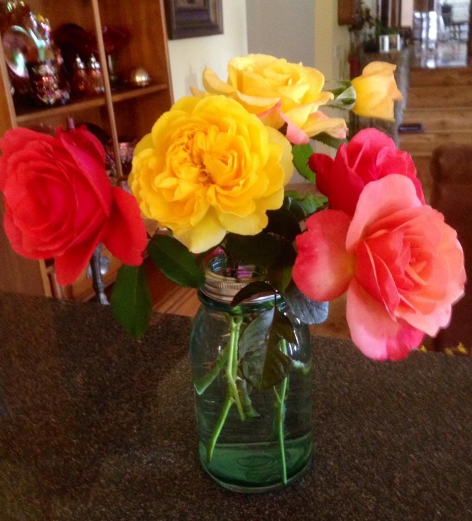  photo zzzcuttings1001b_zps09fda205.jpg