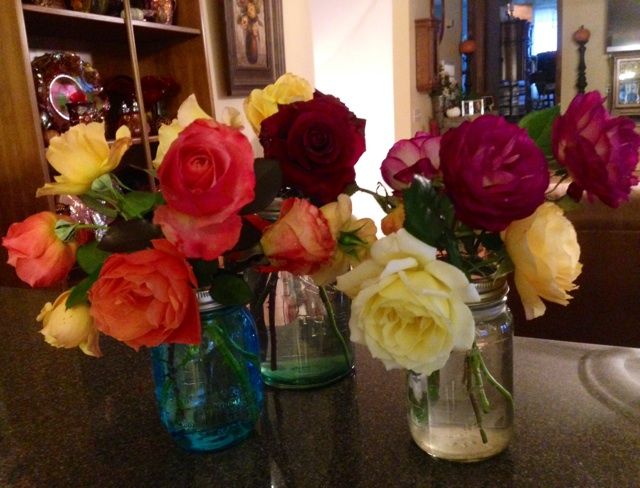 photo zzzcuttingsfall1108_zpsf4bb5ed6.jpg