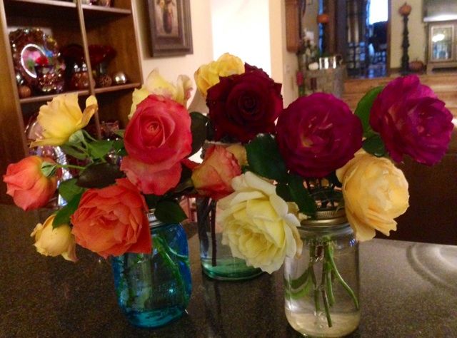  photo zzzcuttingsfall1108e_zps0fd2998d.jpg