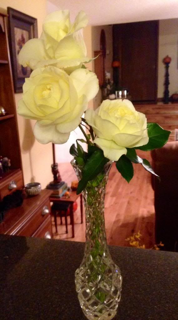 photo zzzcuttingsmdjfk1110_zps6930df64.jpg