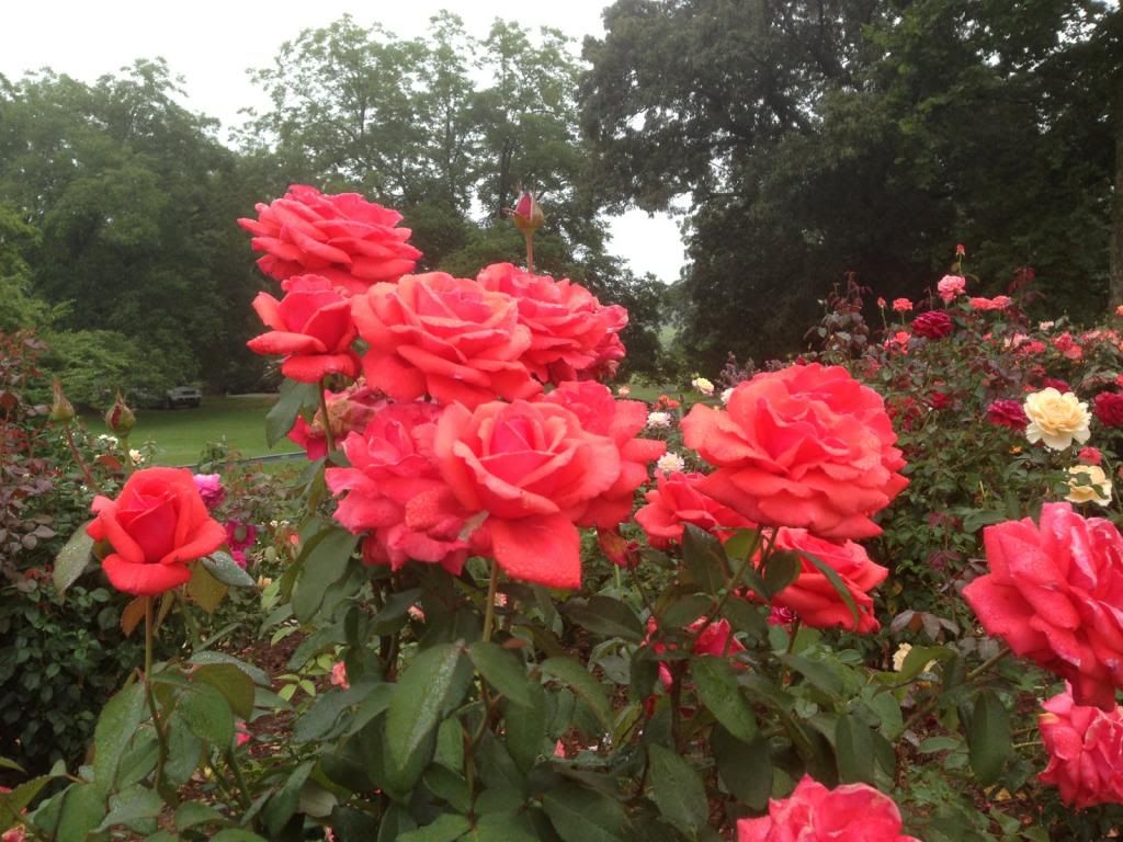  photo zzzfc0818b_zpsc98f4dc3.jpg