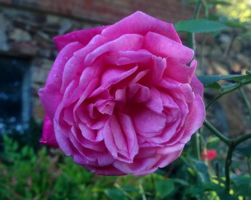  photo zzzmbrc0920_zps1d472c9d.jpg