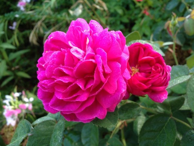  photo zzzrdr0915_zpsd4a78e08.jpg