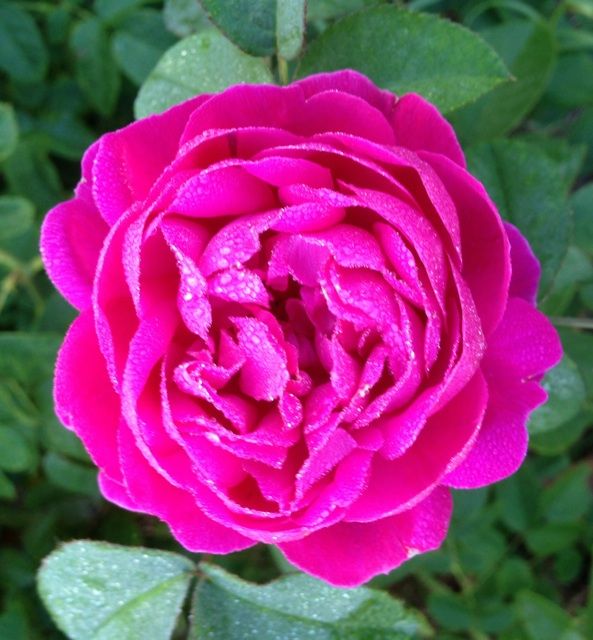  photo zzzrdr0915a_zpsaa992a2c.jpg