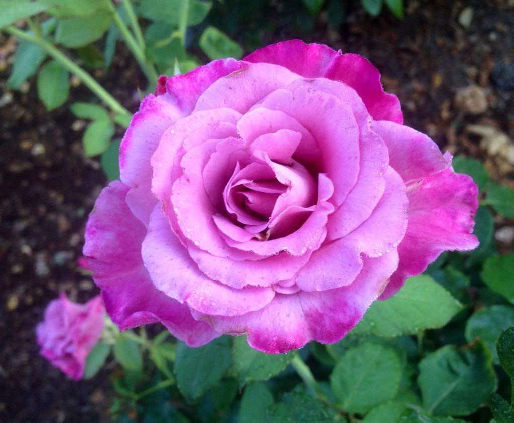  photo zzzstb0912_zpsdeac8ca3.jpg