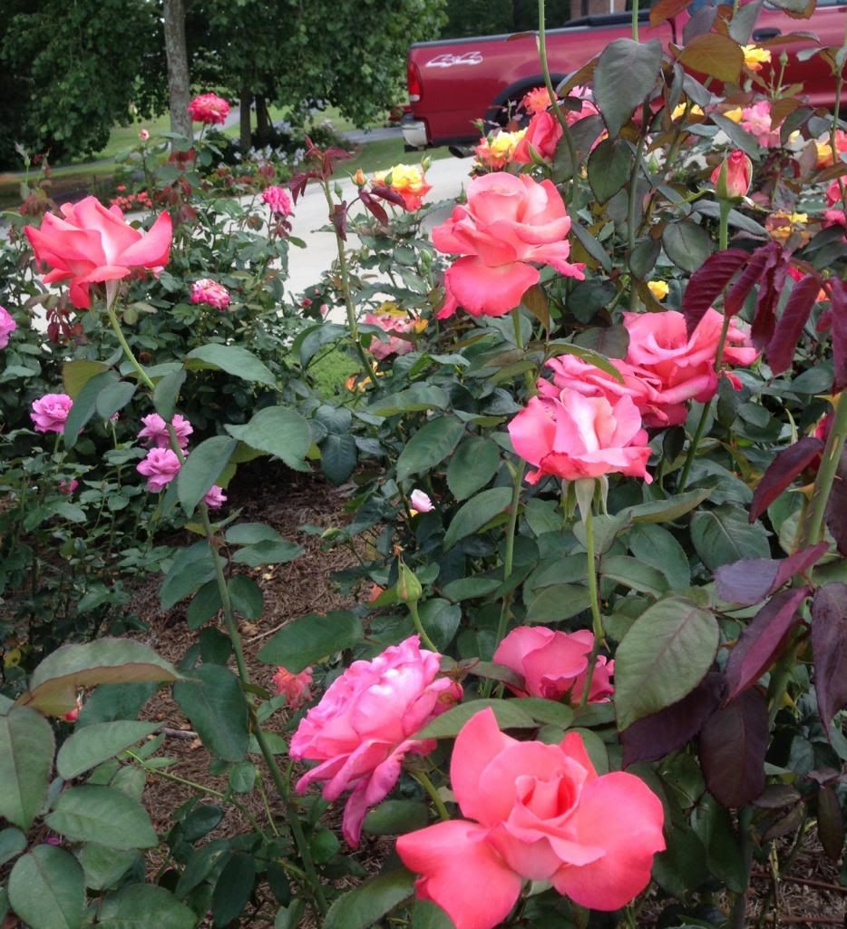  photo zzztoc0811_zpscc28e00b.jpg