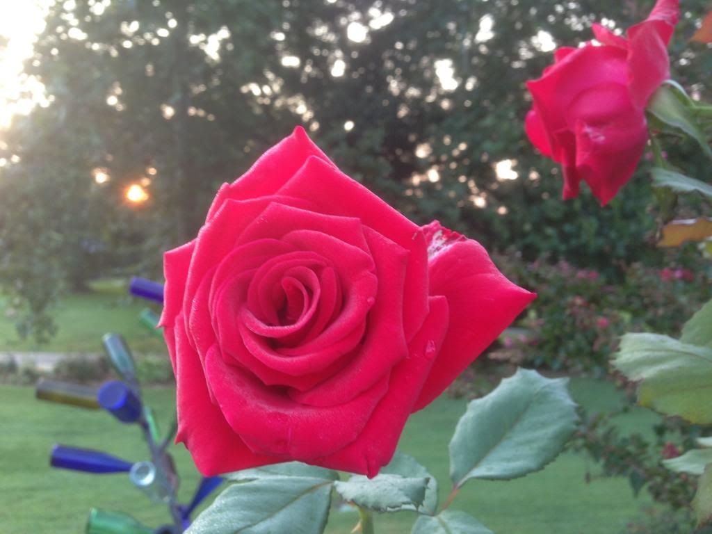  photo zzzvh0907a_zpsa702bc95.jpg