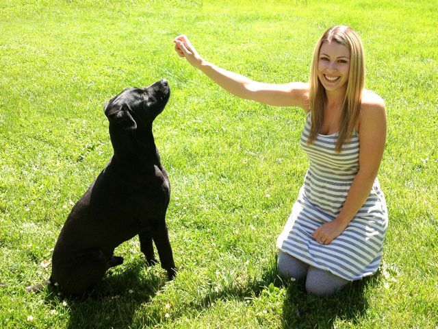 dog-training photo:How to remove instinct dog training 