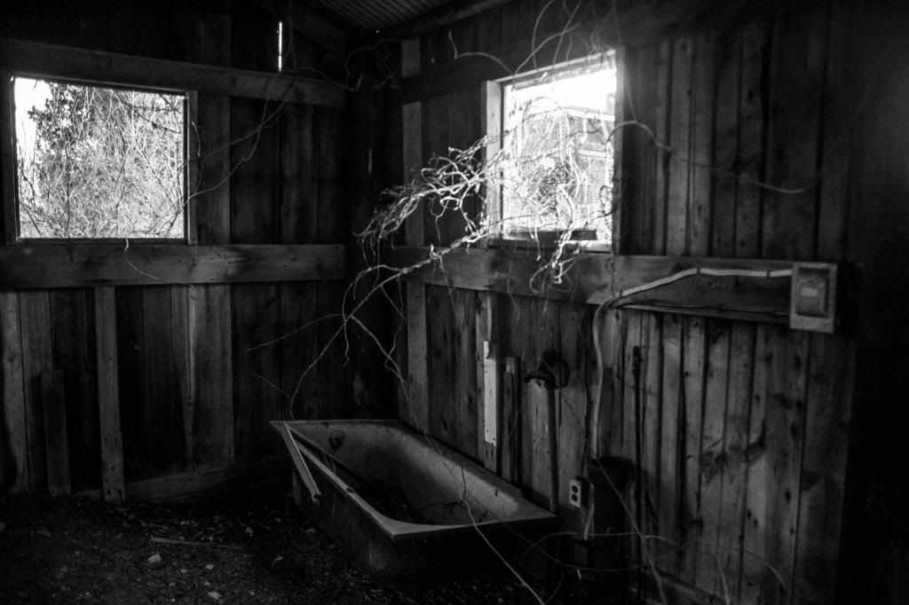 photo bathtubblackandwhite_zpsf9643dec.jpg