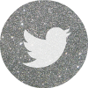  photo twitter 2 silver round social media icon _zpscmhi5vzz.png