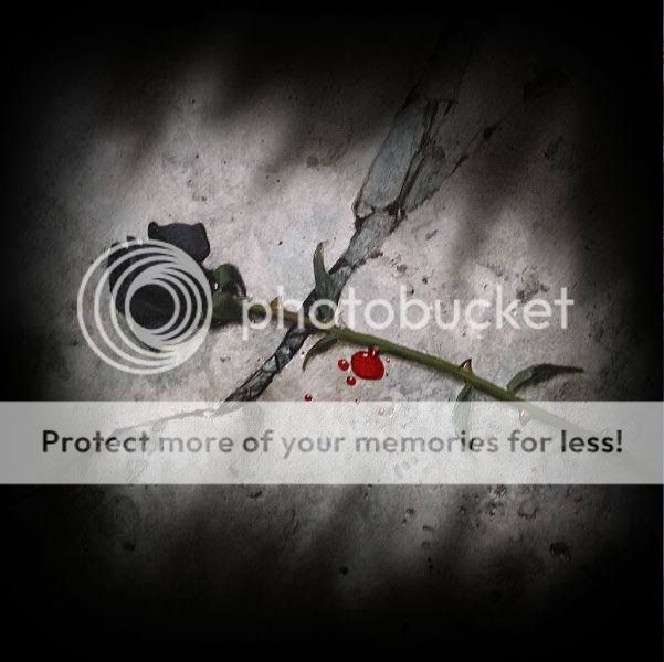 Photobucket Pictures, Images and Photos