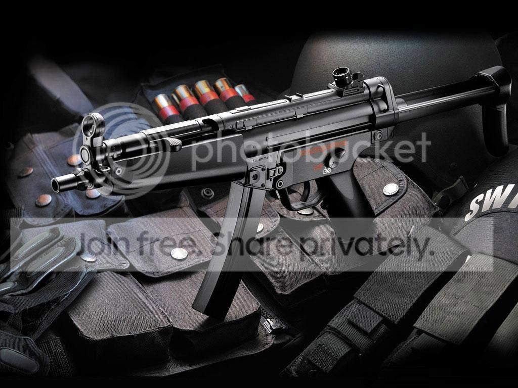 Gun_006_zps252b0a79.jpg