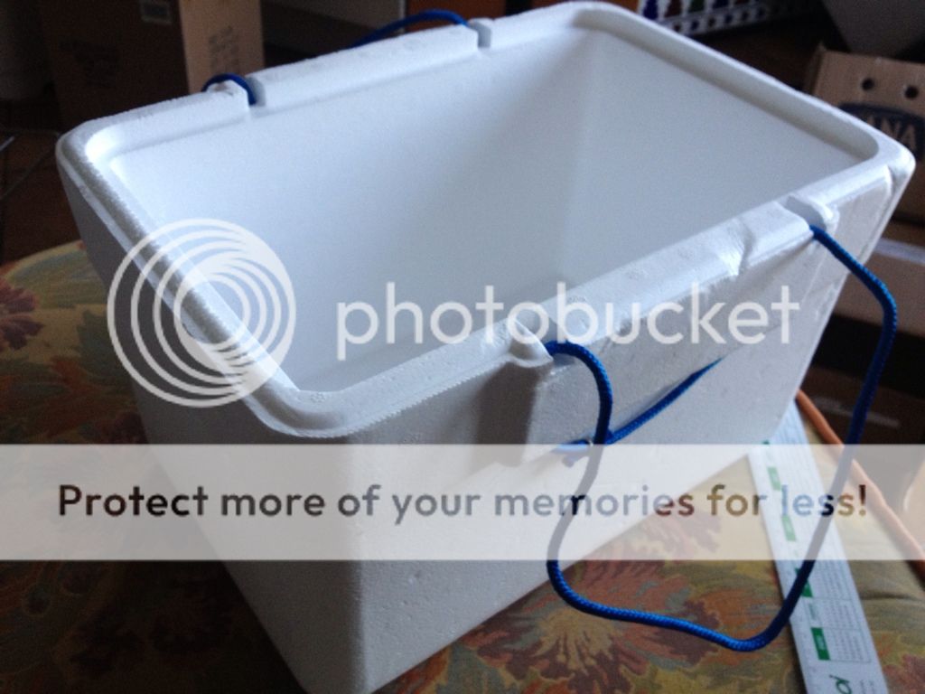 Styrofoam Planting box FlyTrapCare Forums