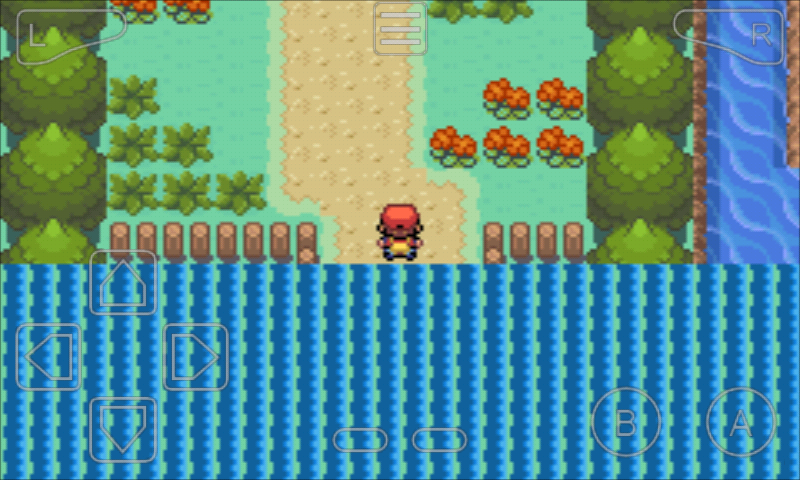 [PokeCommunity.com] Pokemon Conjure : Advance Map Border Block